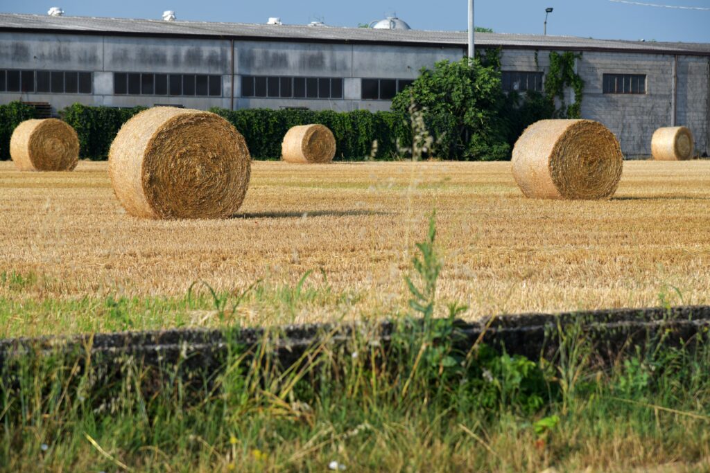pexels-photo-12520467-12520467 Commercio foraggi a Civitanova Marche