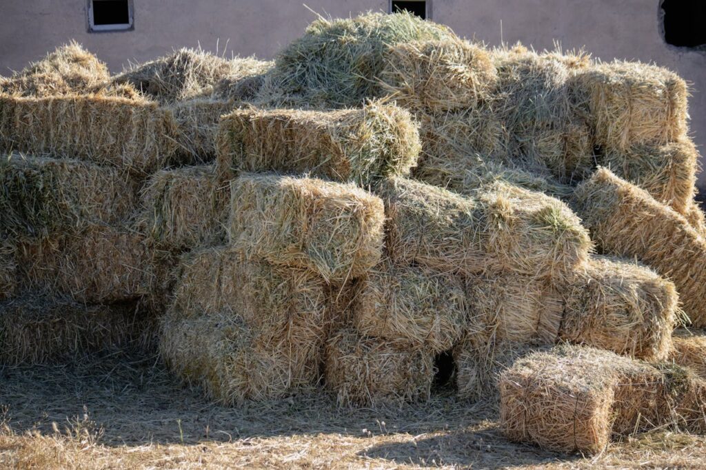 pexels-photo-32666265 A pile of hay bales outdoors in Palu, Elazığ, Türkiye capturing rural farm life.