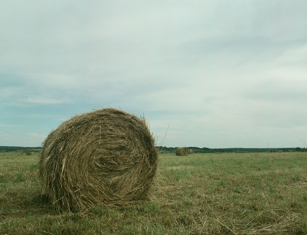 A serene rural landscape featuring round hay bales under a blue sky, perfect for nature themes.